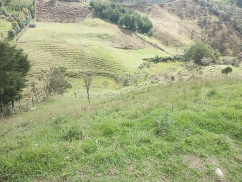 Finca En Guarne Ovejas