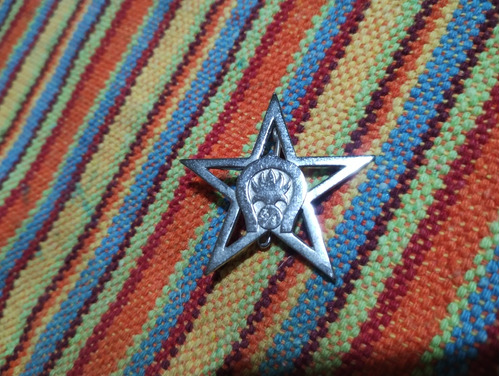 Insignia Legión Extranjera Prendedor Estrella 