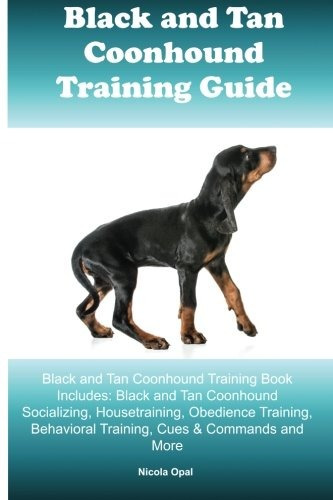 Black And Tan Coonhound Training Guide Black And Tan Coonhou