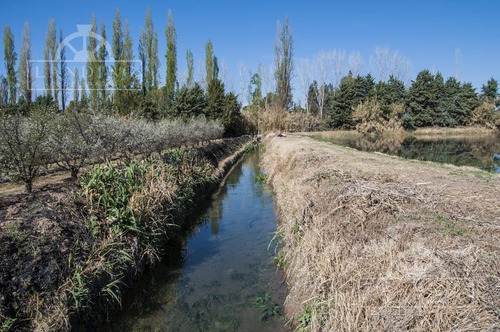 Imagen 26 de 27 de Finca Productiva En Venta En Mendoza, 60 Has Cultivos Intensivos