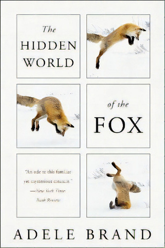 The Hidden World Of The Fox, De Adele Brand. Editorial Custom House, Tapa Blanda En Inglés