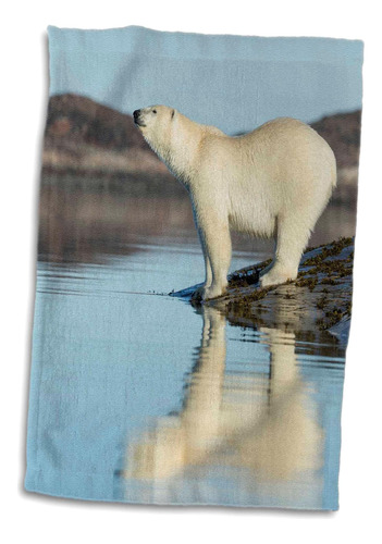 3d Rose Canada-nunavut Territory-polar Bears Toalla De Mano 