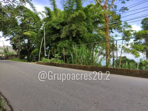 Imagen 2 de 10 de Se Vende Terreno Comercial A Orilla De Calle En San Diego De Los Altos, Edo. Miranda. Rz
