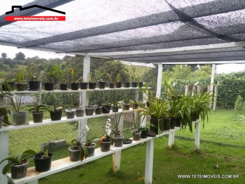 Imagem 15 de 15 de Chácara Com 5.300 M² Em Pinhalzinho - 28