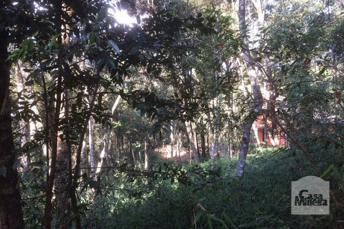 Imagem 6 de 7 de Lote Em Condomínio À Venda No Pasárgada - Código 227252 - 227252