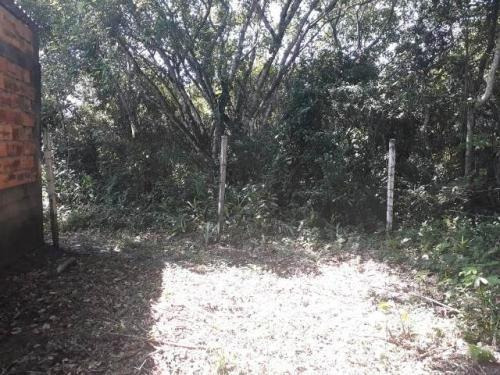 Imagem 10 de 14 de Casa À Venda Em Itanhaém