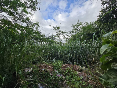 Terreno En Venta En San Jacinto De Maracay Aragua 24-9970 Ecir