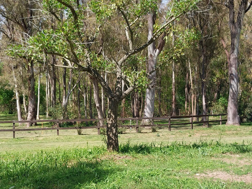 Terreno Con Importante Mejoras En Chacras Del Paraná - Zarate