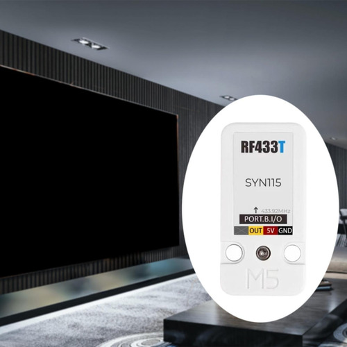 Rf433t Wirelesses Transmisor Rf Professional Con Accesorios