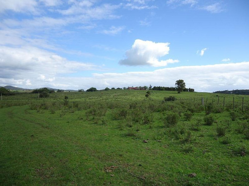 Campo En Venta En Lavalleja. 37 Hectáreas.