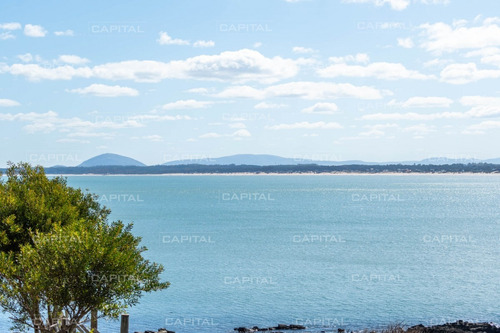 Apartamento Esquinero En Alquiler Temporario De Tres Suites Con Parrillero Propio-ref:29236