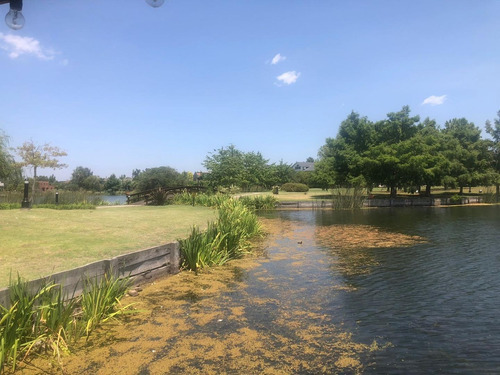 Imagen 15 de 18 de Venta Lote En La Alameda