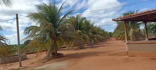 Sítio Com 2 Casas, Água, Internet E Energia - Manga-mg - Ideal Para Lazer Ou Criação