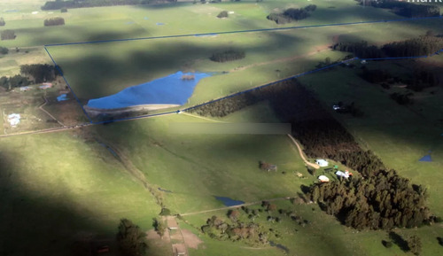 Chacra Camino Eguzquiza