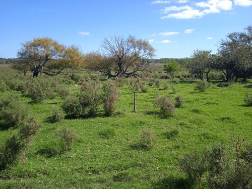 Campo De 20 Has A 88 Km De Montevideo