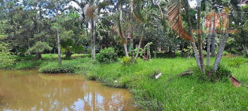 Imagem 11 de 28 de Chácara Com 3 Dormitórios À Venda, 7790 M² Por R$ 700.000,00 - Bambu - Peruíbe/sp - Ch0157