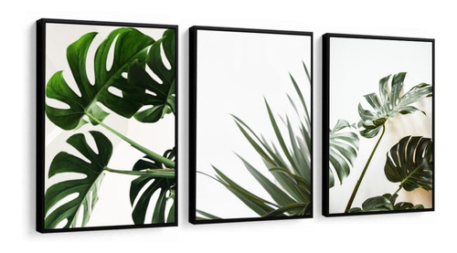 Quadros Decorativos Folhagem Costela De Adão Folhas Verdes G