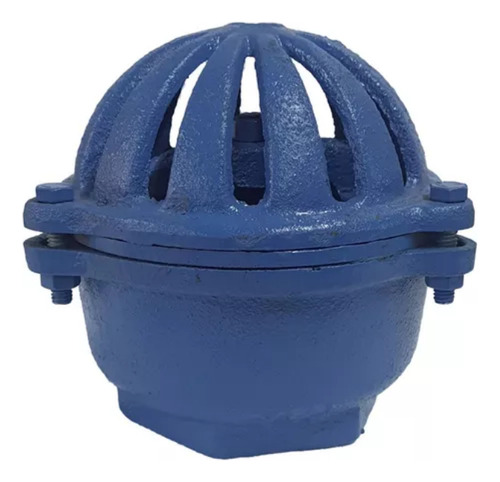 Valvula De Pé Tipo Cebola Ferro Fundido Rosca 2 1/2 Azul