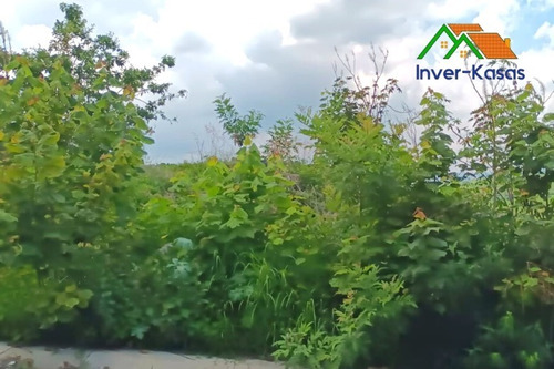 Imagen 5 de 6 de Venta De Terreno En Lomas De Cocoyoc