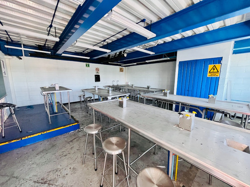 Ponemos En Venta Esta Magnifica Oportunidad De Inversión (escuela)