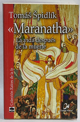 Maranatha La Vida Despues De La Muerte B'5 Aleph Libros 