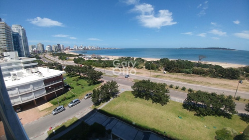 Imagen 5 de 23 de Primera Linea Al Mar.