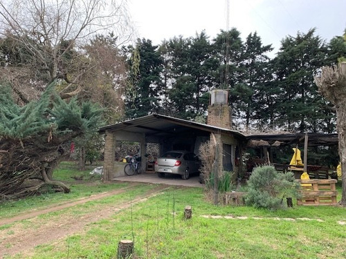 Granja Avícola En San Andrés De Giles (bs. As.)