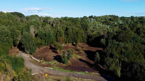 Subdivisión De Parcelas De 5.000m² A 25 Min De Puerto Varas