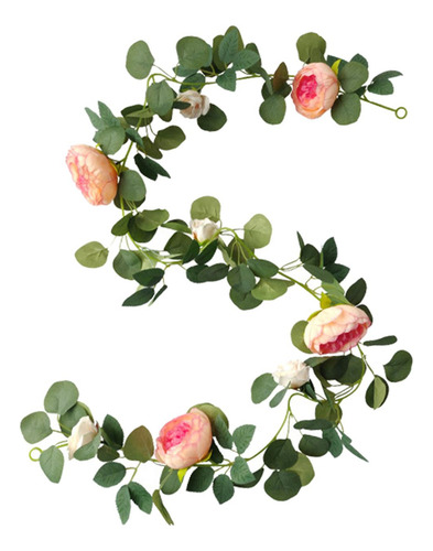 Flores De Peonía, Enredaderas Colgantes, Enredaderas, Flor