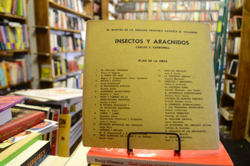 Nuestra Tierra 14. La Sociedad Urbana. Héctor Martorelli. (Usado)