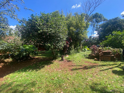 Imagen 9 de 16 de Amplia Casa En Venta Con Gran Terreno.