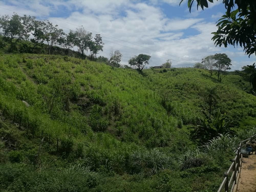 Imagen 9 de 14 de Venta Finca Tocuyito Carabobo Cod. 148247