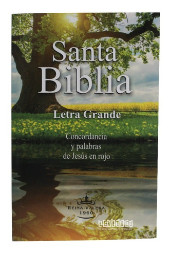 Biblia Económica Reina Valera 1960 Letra Grande.