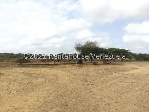 Imagen 10 de 15 de Casa De Campo En Venta Ubicada En Pueblo Nuevo. Paraguana