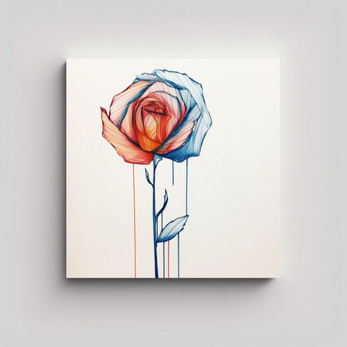 Cuadro De Pared: Rosa Dibujada En Líneas De Color 40x40cm