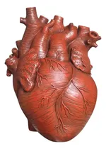 Comprar Jarrón Anatómico Con Forma De Corazón, Maceta De Resina Con