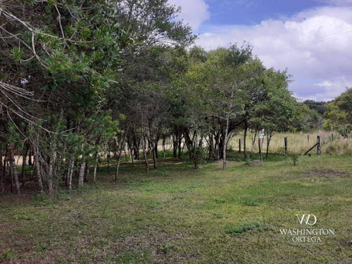 Imagem 3 de 21 de Chácara À Venda, 8500 M² Por R$ 260.000,00 - Zona Rural - São José Dos Pinhais/pr - Ch0060