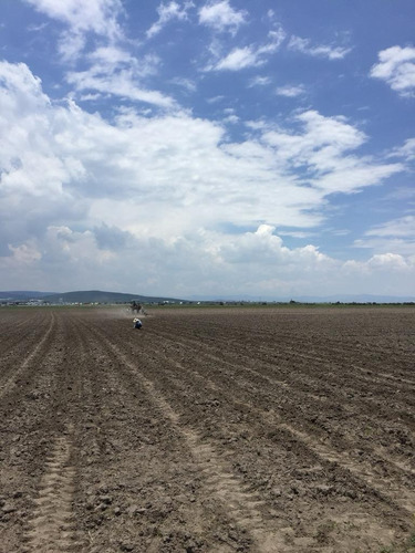 Venta De Terreno En Aut-mexico Pachuca Tlcayuca , Sn Miguel Ecayuca Sup. 6 Hectáreas