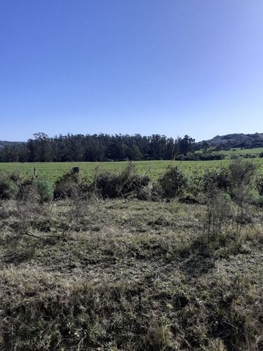 Venta De 60 Hectáreas Por Ruta 13 Paraje El Maturrango Roch (ref: Ksk-719)