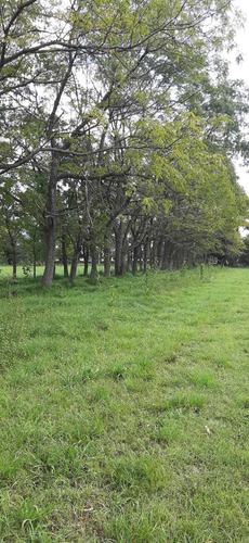 Imagen 13 de 13 de Lotes Baldíos De 744 M2 En Cañuelas (ref: El Retiro)
