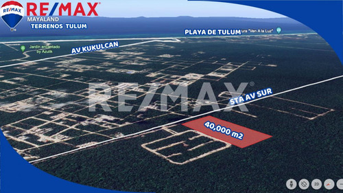 En Venta 4 Hectareas Juntas En Region 12 Sobre La 5ta Av De Tulum