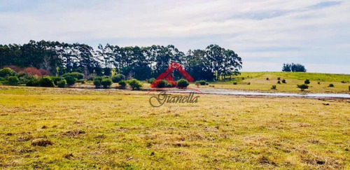 Venta De Chacra En Jose Ignacio, Medellin.- Ref: 1682