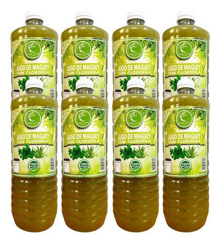 8 Botellas Jugo De Maguey Asado Con Clorofila Verde Santo 1l