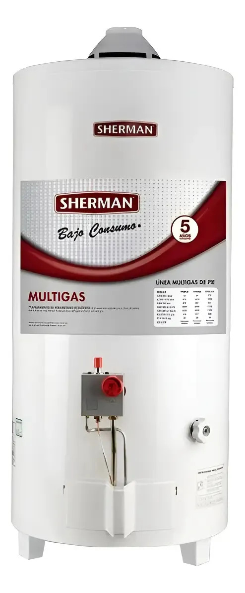 Termotanque Multigas Bajo Consumo Sherman Rheem 120 Lts Blanco