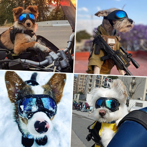 Gafas De Sol Uv A Prueba D/viento P/mascota Pequeña, Mediana