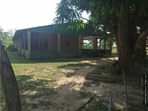 Imagen 11 de 14 de Productiva Finca En Elorza Apure, Acepta Criptomoneda