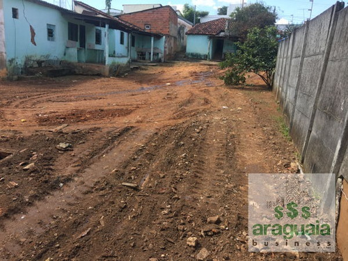 Imagem 4 de 7 de Terreno Em Rua - 009-v