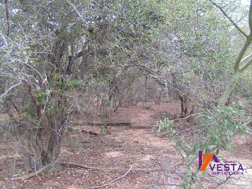 Imagen 2 de 10 de Venta Campo Pluma De Pato 700ha Salta-
