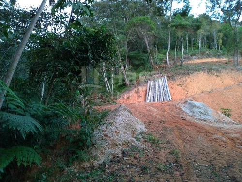 Terreno Rural Para Sítio À Venda Em Brusque/sc - 1192