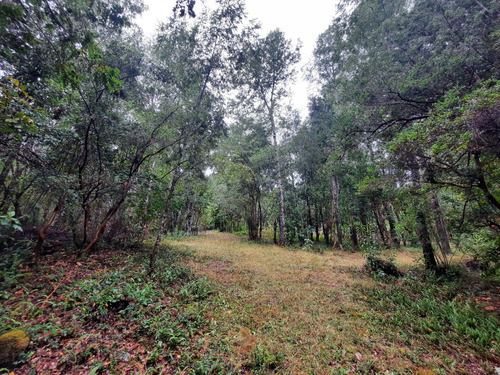 Los Jardines De Caburgua, Sector Riffo, Pucon